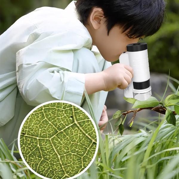 Child using beginner microscope to explore leaves and insects up close

